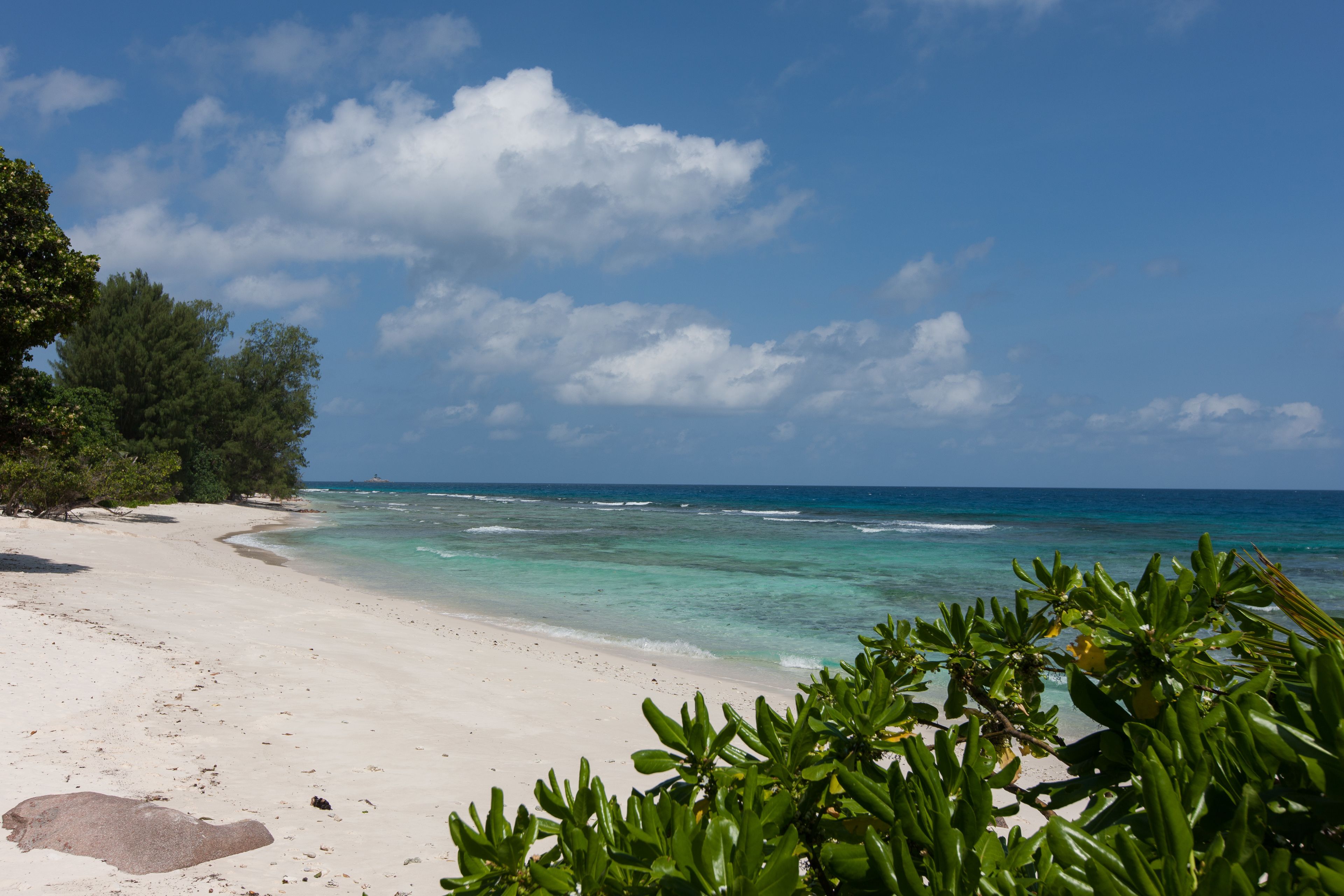 A beach with clear turquoise water, white sand, and green foliage.