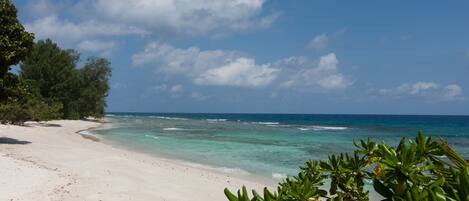 A beach with clear turquoise water, white sand, and green foliage.