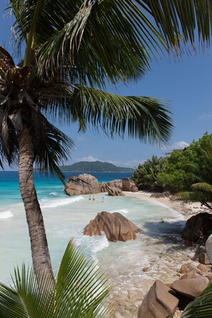 Una playa con agua turquesa cristalina, palmeras y grandes rocas.
