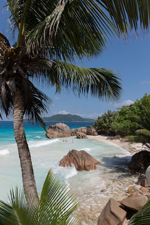 ๊ทผ์ฒ ํด๋ณ, ๋ฐฑ์ฌ์ฅ