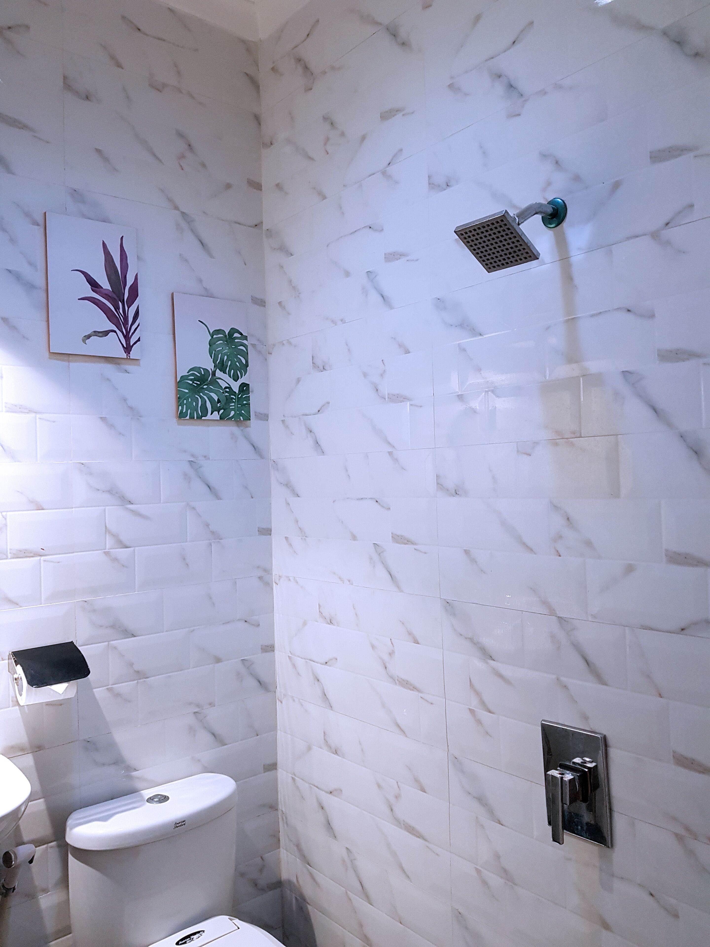 Bathroom shower