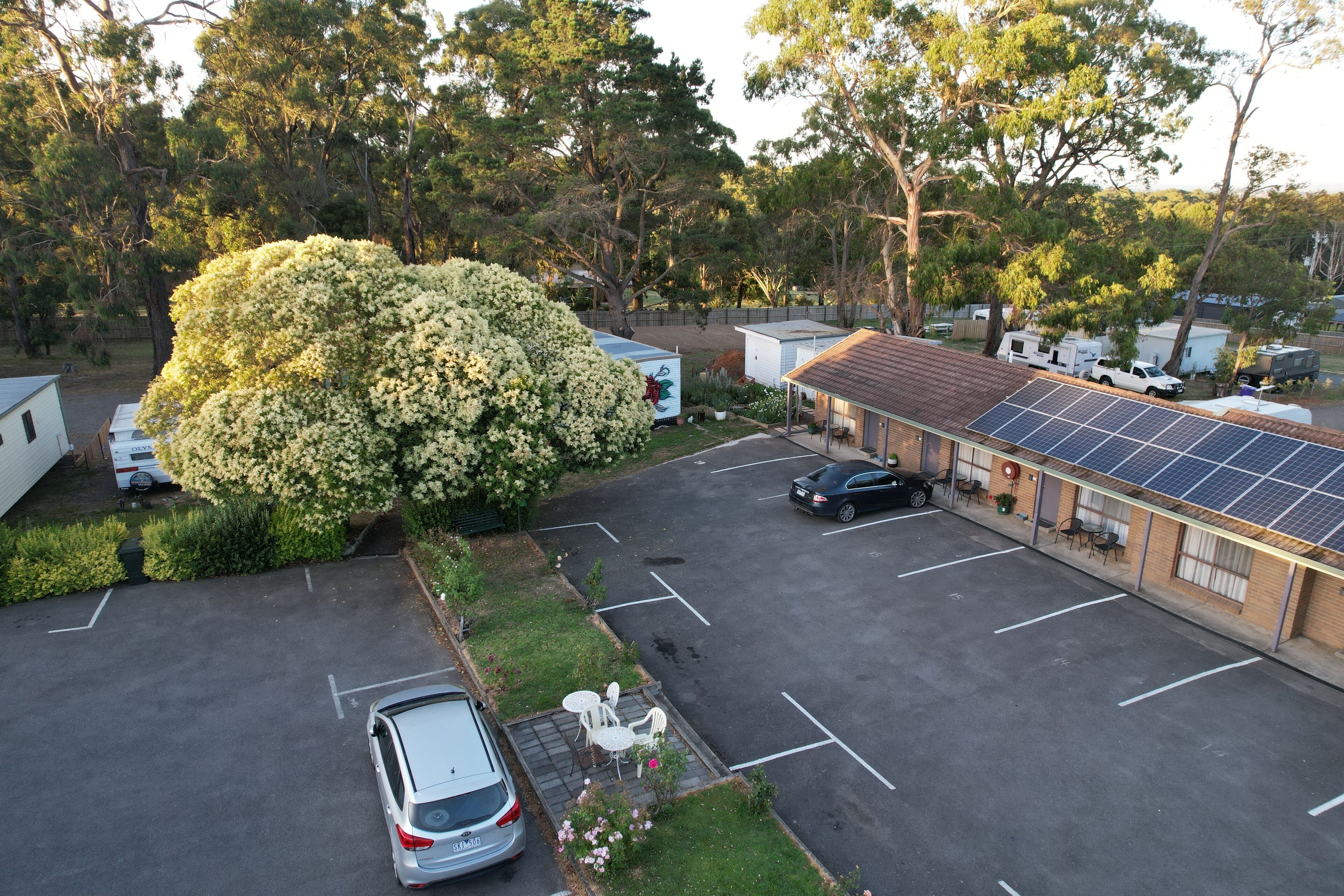 Un estacionamiento con un edificio equipado con paneles solares, un árbol grande y un automóvil.