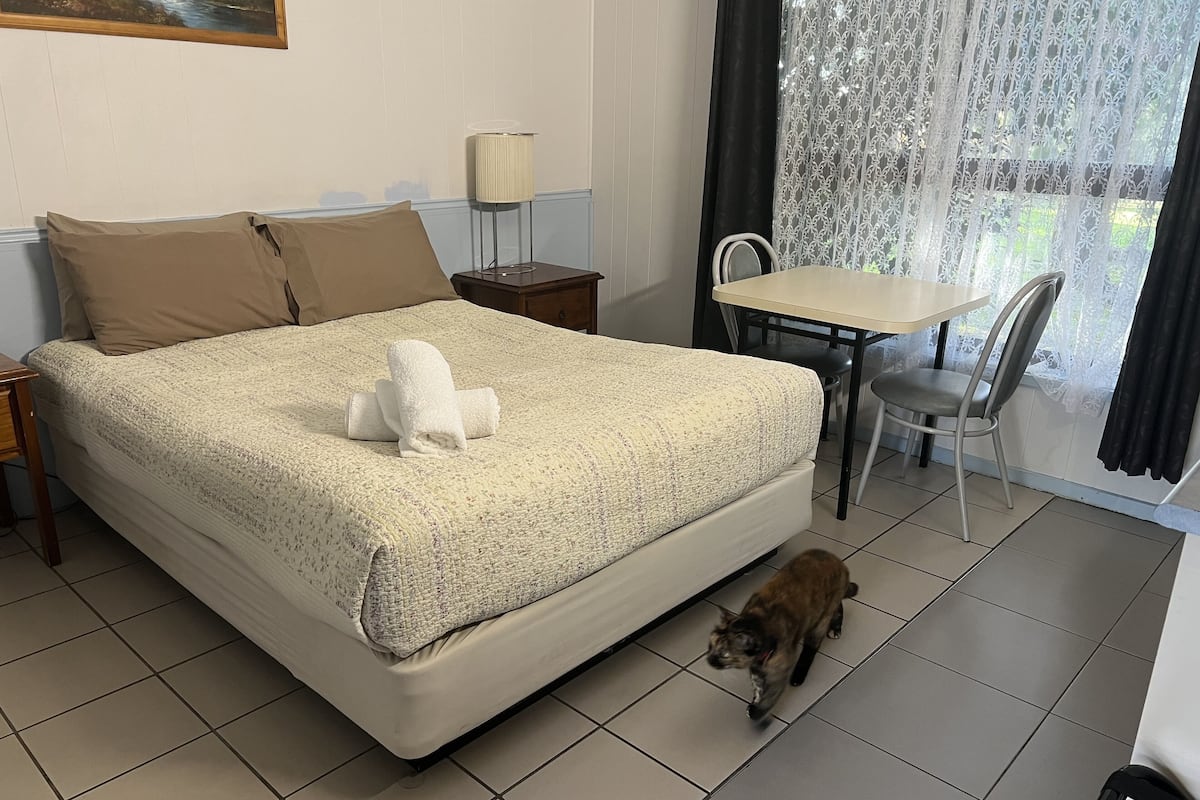Hotellihuoneessa on sänky, pieni pöytä, tuoli ja kissa lattialla.