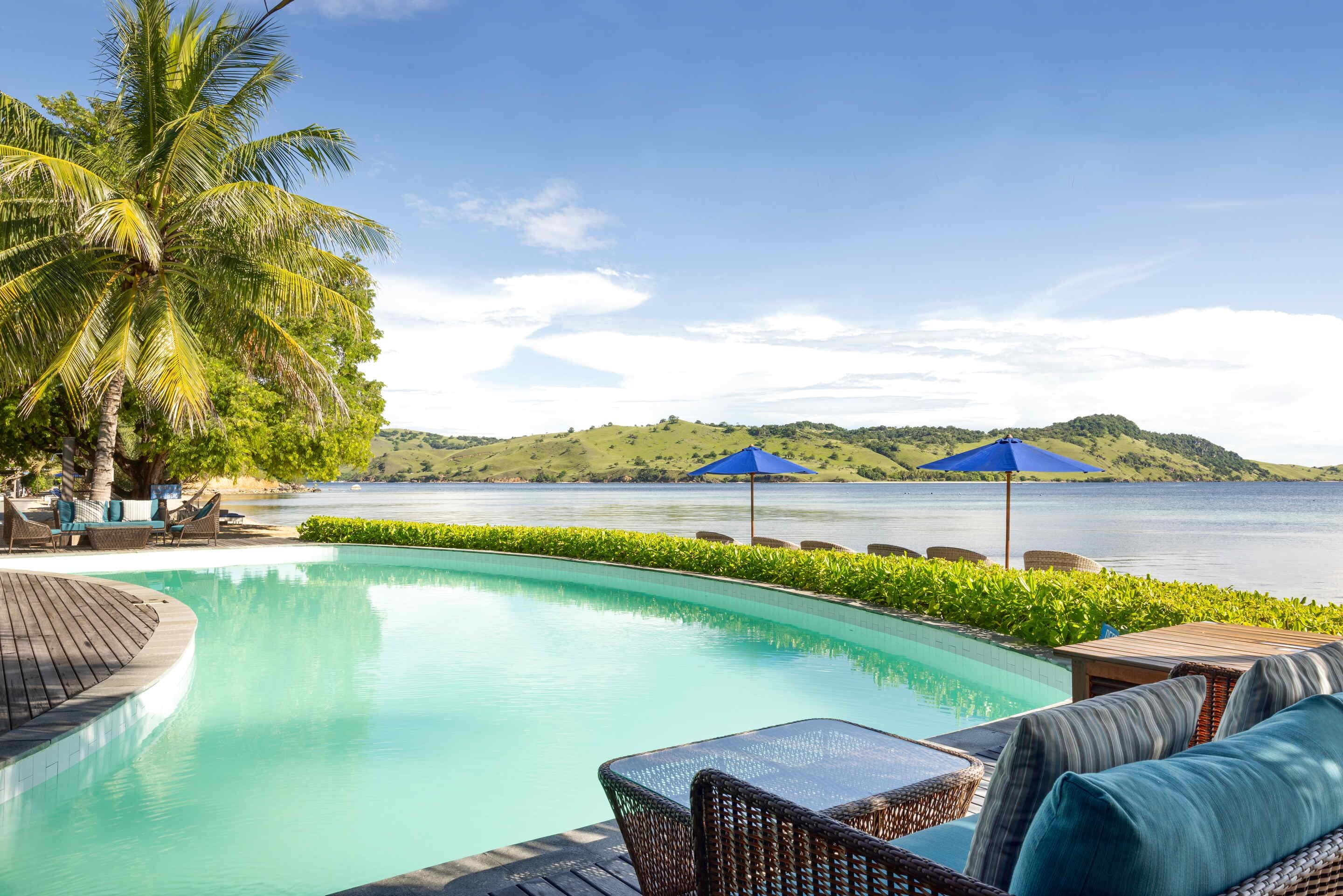 A pool area with lounge chairs and umbrellas, a palm tree, and a view of hills and water.
