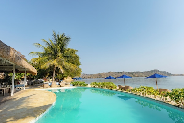 Piscine extérieure, chaises longues