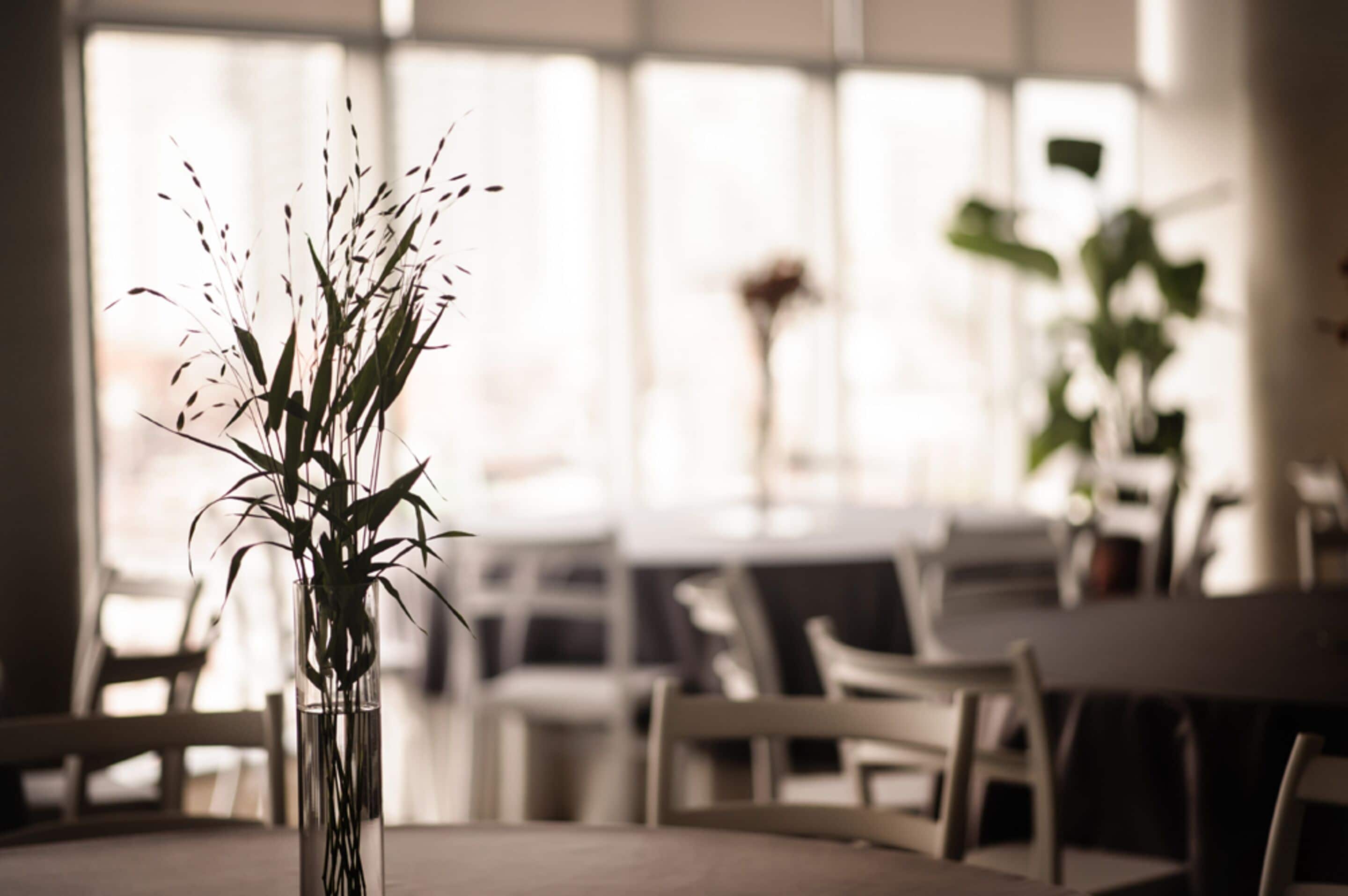 A dining area with a table and chairs, a vase with plants, and a window with natural light.