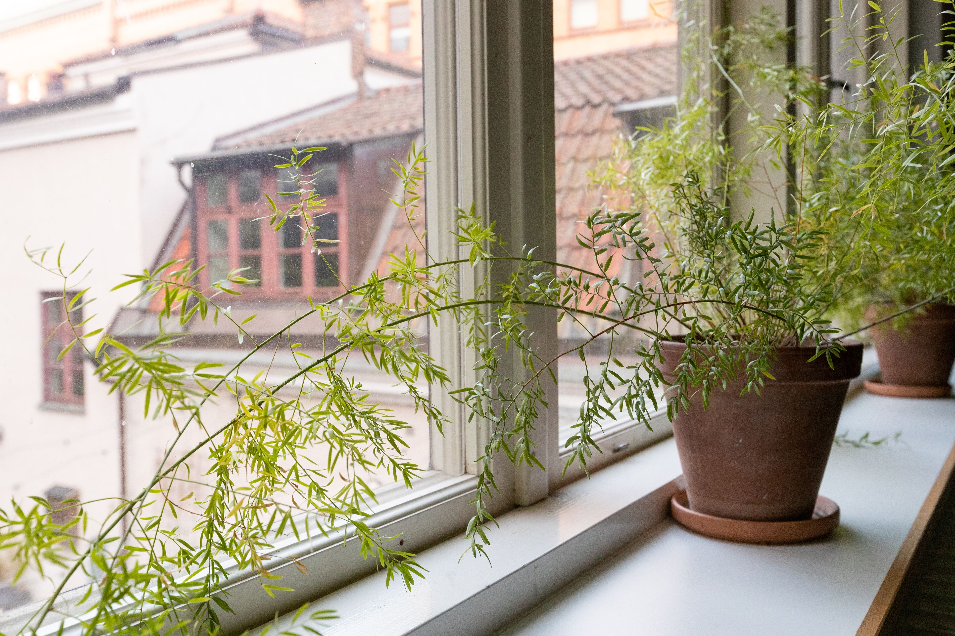 Foto - STF Hostel Stigbergsliden