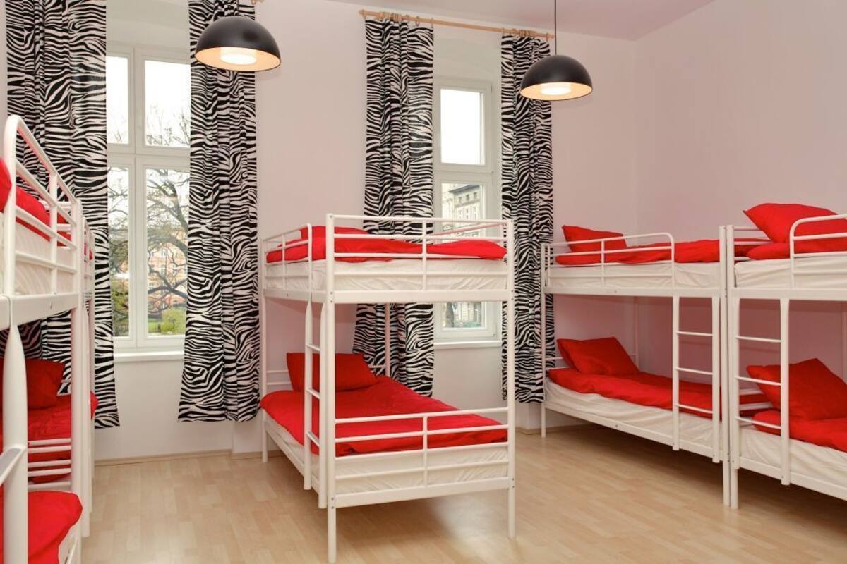 Un dormitorio con literas blancas, ropa de cama roja, cortinas con estampado de cebra y luces colgantes.