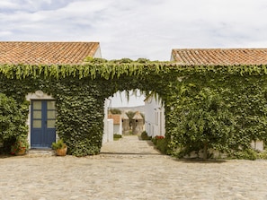 Room (Winery) | Terrace/patio