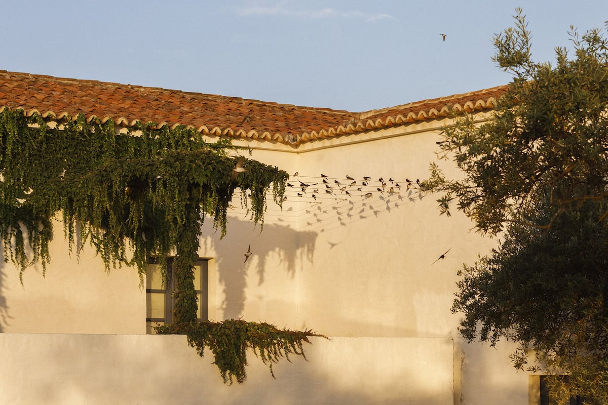 Kamer (Courtyard) | Terras