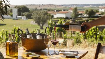 Vineyard