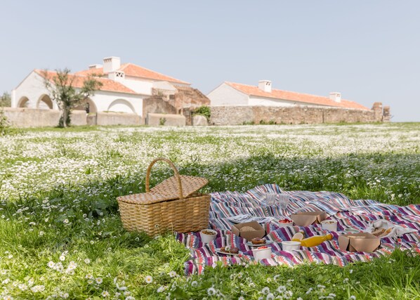 Un coin pique-nique aménagé avec un panier, une couverture et des aliments, installé sur un champ herbeux parsemé de fleurs blanches, avec des bâtiments en arrière-plan.