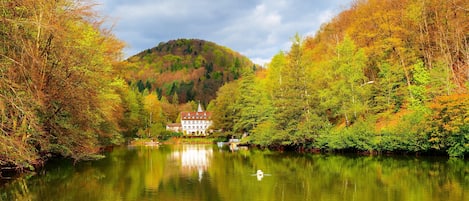 Ein friedlicher Blick auf einen See mit einem historischen Gebäude, umgeben von Herbstlaub.