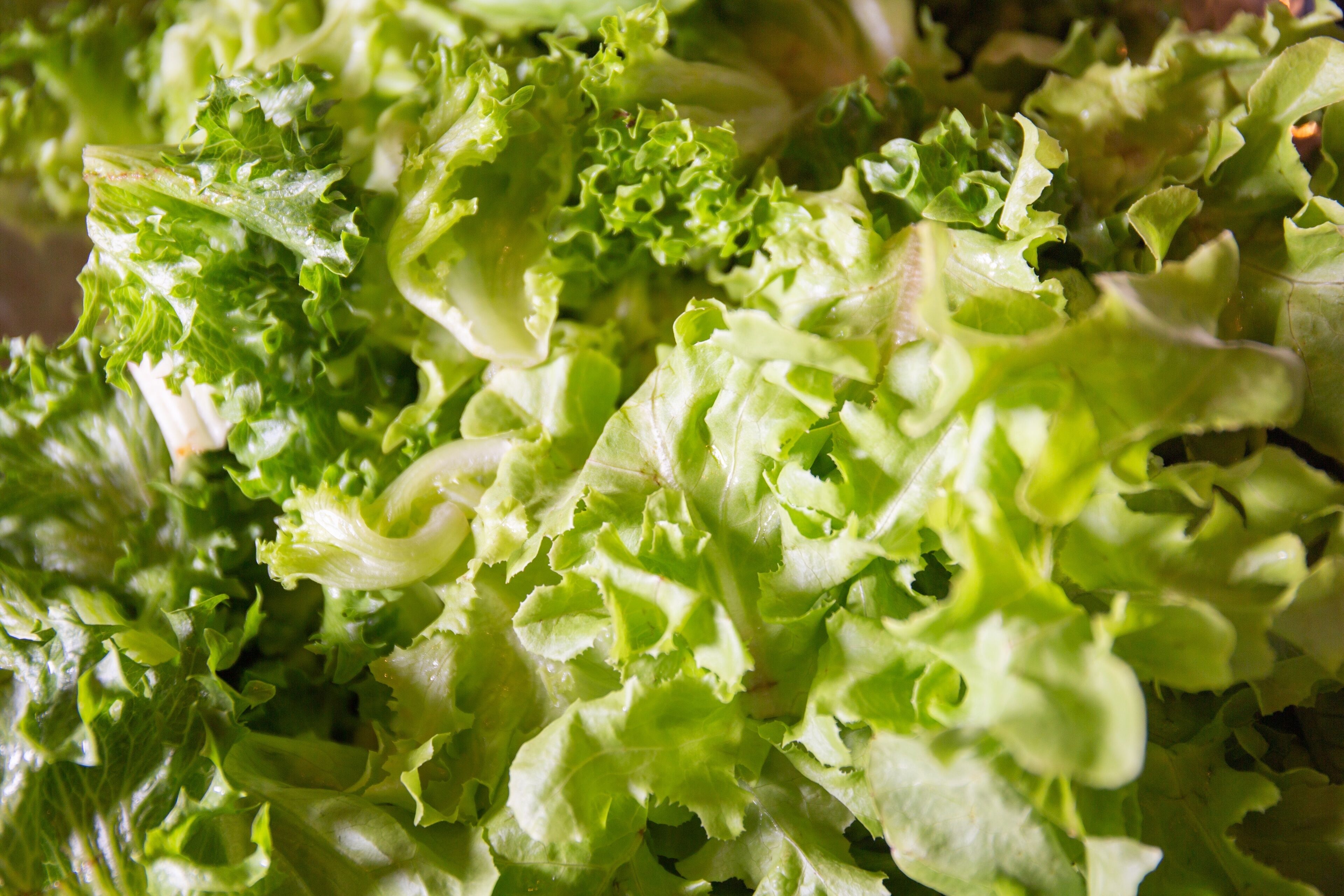 daily buffet breakfast (thb 1000 per person)