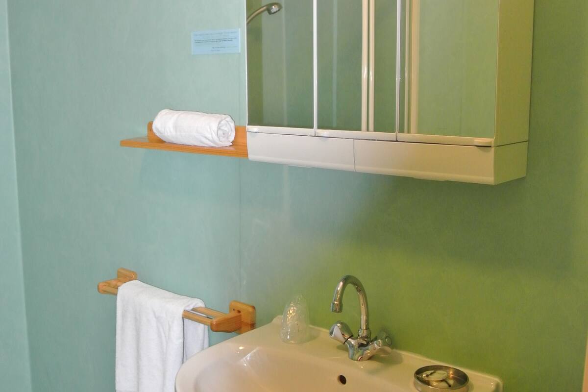 combined shower/bathtub, free toiletries, hair dryer, towels
