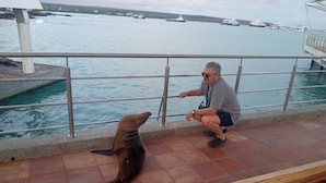 Point of interest - Hotel Palmeras (Puerto Ayora)