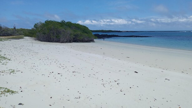Hiking - Hotel Palmeras (Puerto Ayora)