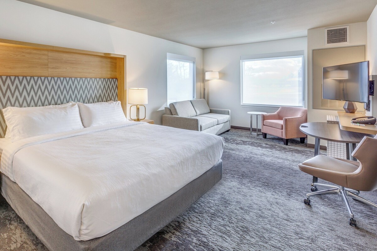 Standard Room, 1 King Bed with Sofa bed