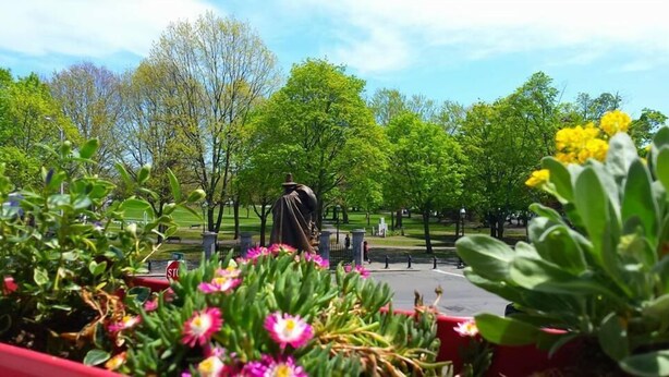 Un parque con una estatua, árboles verdes y plantas con flores.