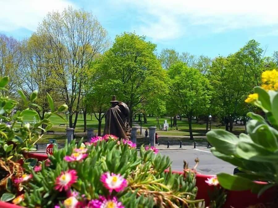 Vista desde la propiedad