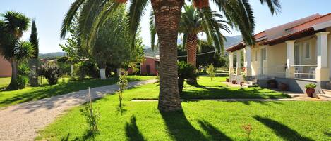 Un jardín bien cuidado con una palmera, un sendero y un edificio con porche.