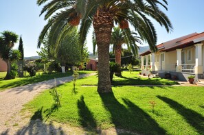 Property grounds - Libertys Studios (Corfu)