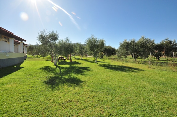 Property grounds - Libertys Studios (Corfu)