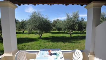 Un espacio de estar al aire libre cubierto con una mesa y sillas, con vistas a un olivar.