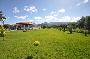 Property grounds - Libertys Studios (Corfu)