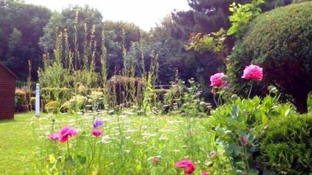 A garden with various flowers and plants, a wooden fence, and a hedge. - LA B and B Guest Accommodation (Chichester)