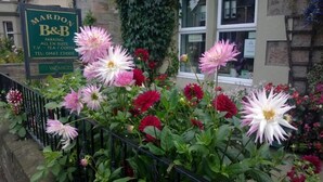 A sign for 'Mardon B&B' with a flower garden in front. - Mardon Guest House (Inverness)