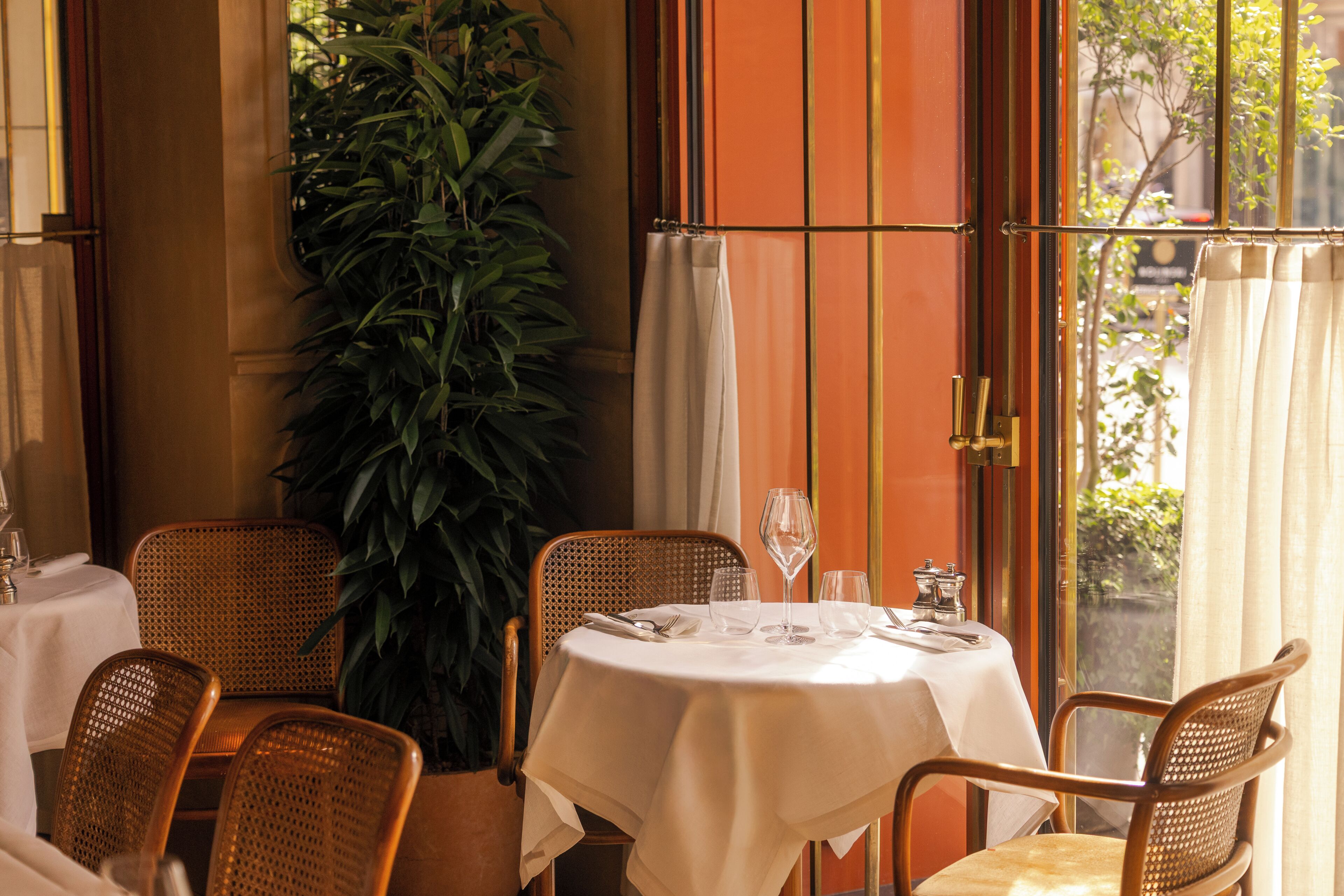 A dining area with a round table, wicker chairs, a potted plant, and a view through a window with curtains.