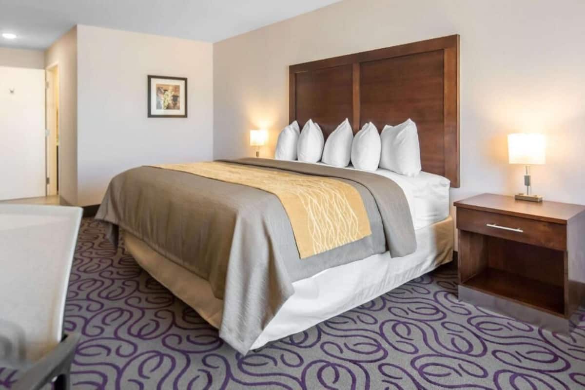 A hotel room with a bed, bedside tables, a lamp, a framed picture on the wall, and a patterned carpet.