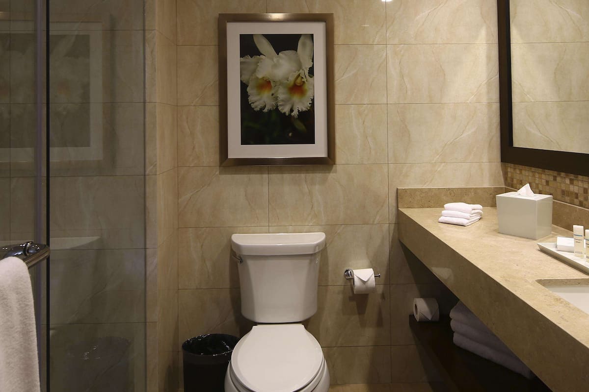 superior 2 double beds | bathroom shower