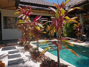 Área de piscina com plantas tropicais e uma estrutura com telhado de palha.