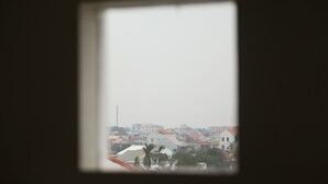 Blick durch ein Fenster auf ein Wohngebiet mit mehreren Häusern, von denen einige rote Dächer haben, und ein paar Palmen.