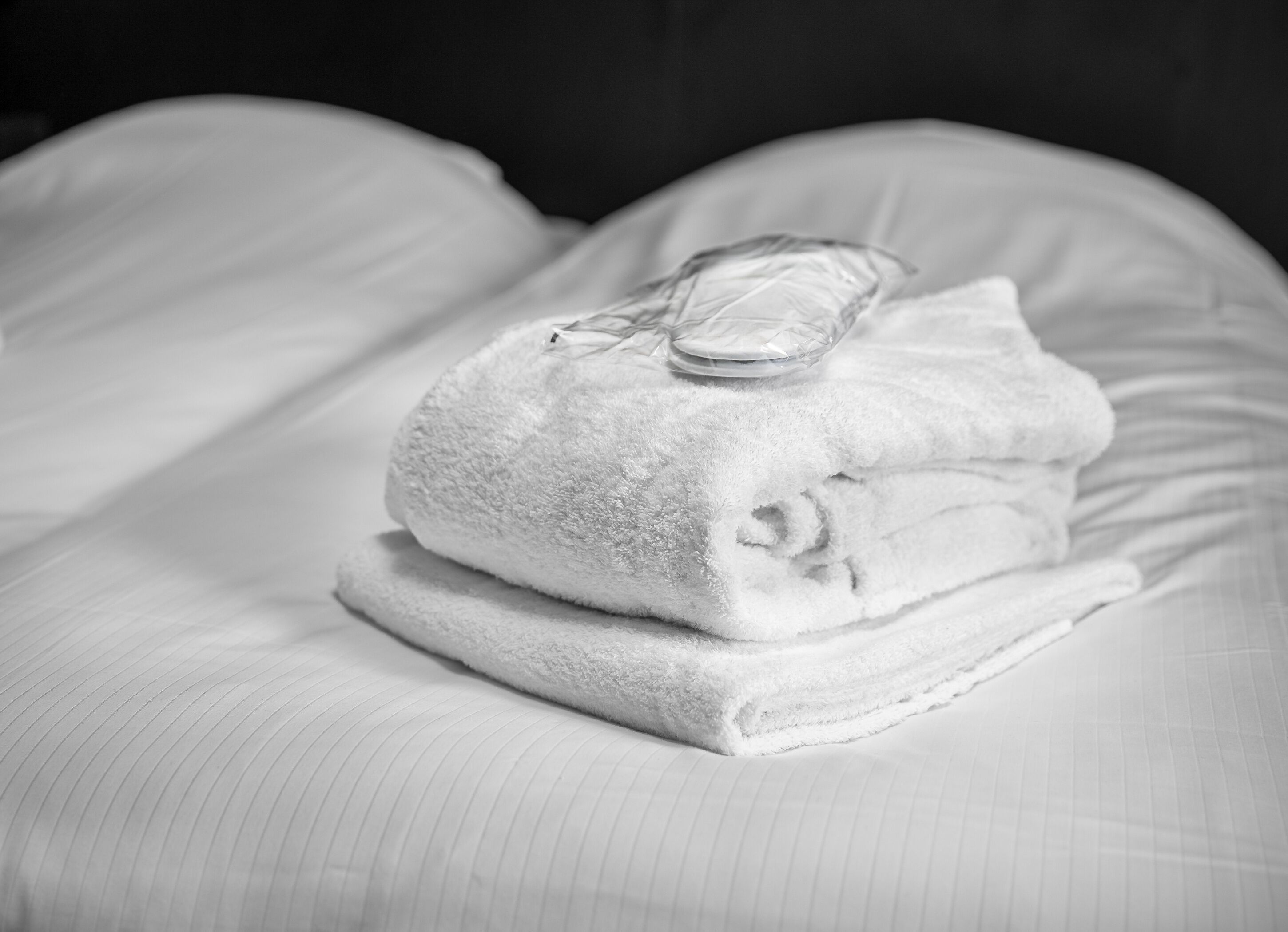 Photo - Roompot Parkhotel Bad Arcen