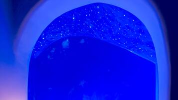 Servicio de la propiedad