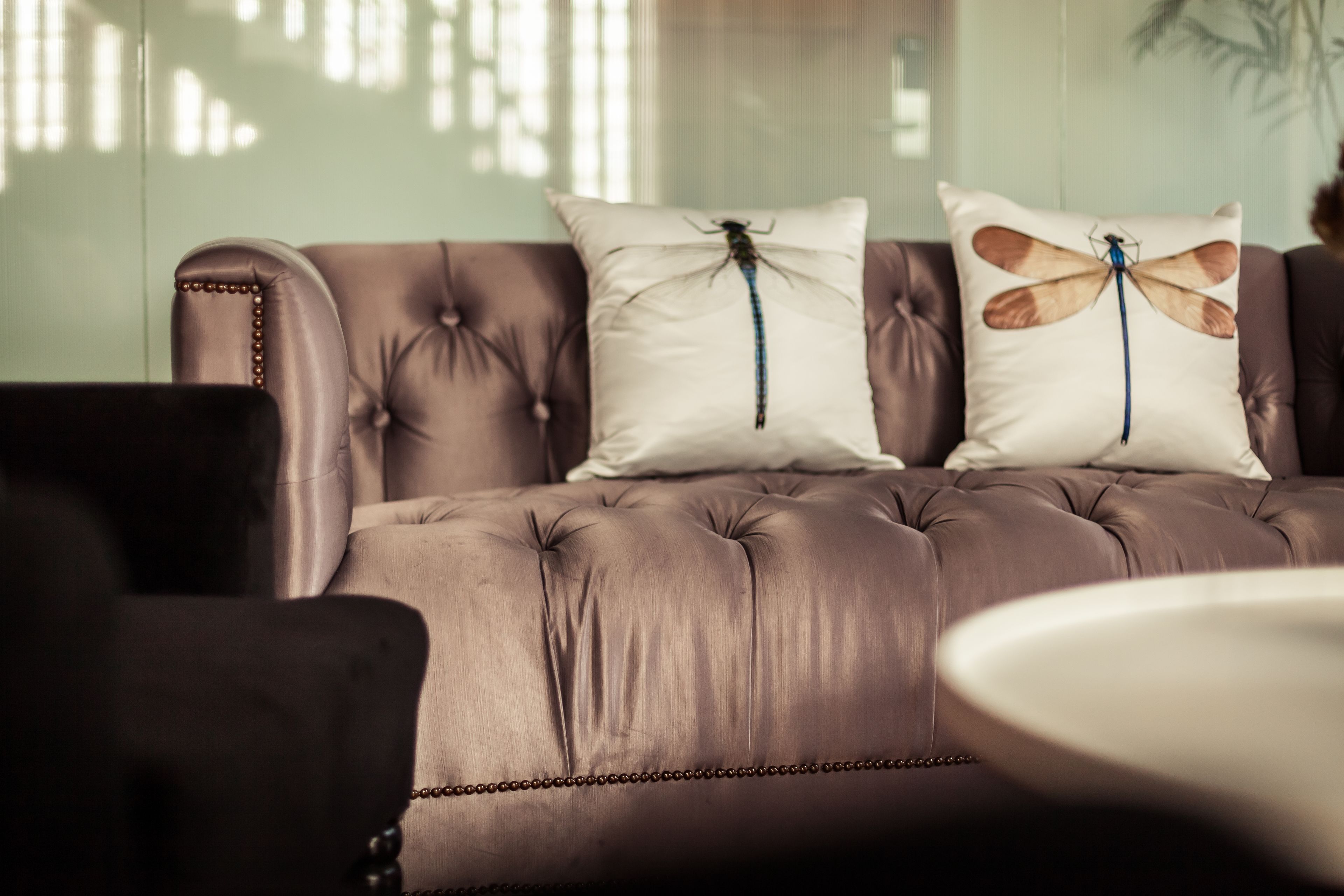 A brown leather sofa with two pillows featuring dragonfly designs.