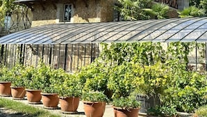 Un edificio de estilo Tudor con un techo empinado, ventanas dormer y un balcón. En primer plano, un invernadero con techo de cristal y plantas en macetas.