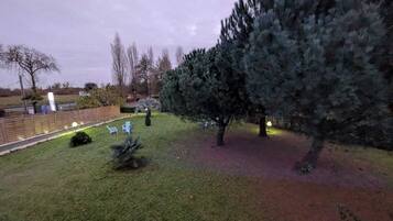 Ein gepflegter Rasen mit einem großen Nadelbaum, einem kleinen Busch und einem befestigten Weg mit Sitzmöglichkeiten.