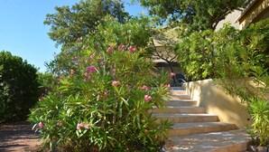 A stone staircase leading up to a building, surrounded by lush greenery and flowering plants. - Résidence Chiar' Di Luna (Zonza)