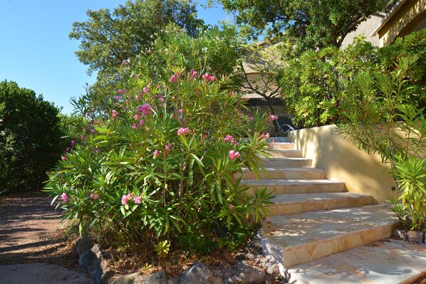A stone staircase leading up to a building, surrounded by lush greenery and flowering plants. - Résidence Chiar' Di Luna (Zonza)