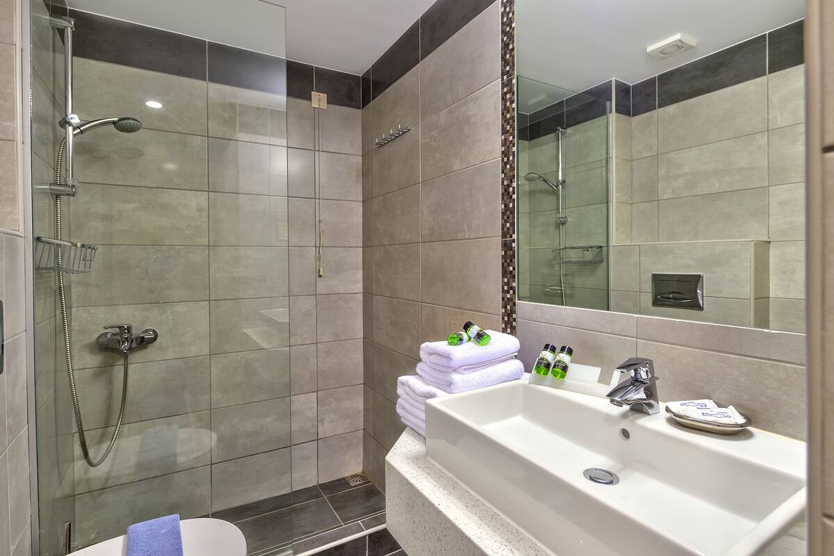 shower, free toiletries, hair dryer, towels