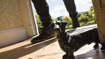 Una estatua de un perro sobre una cubierta de madera con una puerta y las piernas de una persona al fondo.