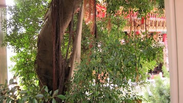 Overnatningsstedets område