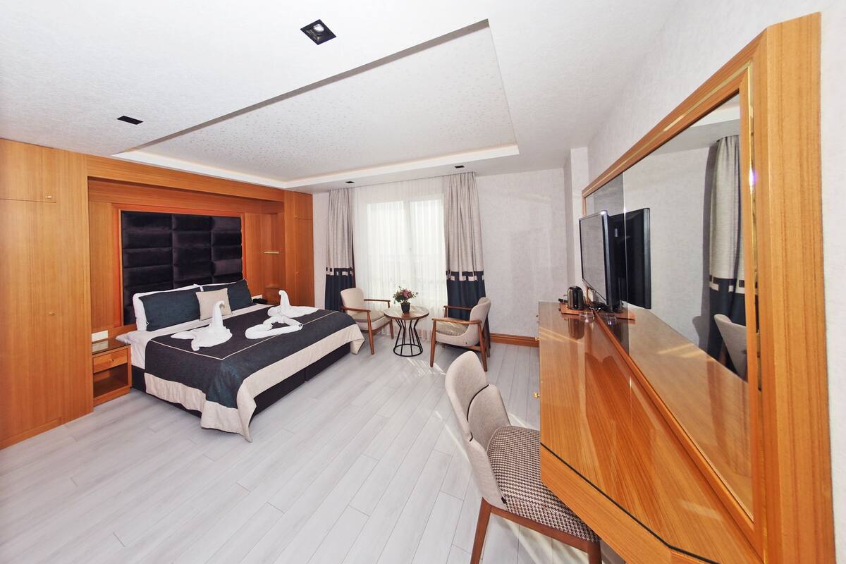 Una habitación de hotel con cama, televisor, escritorio y una silla.
