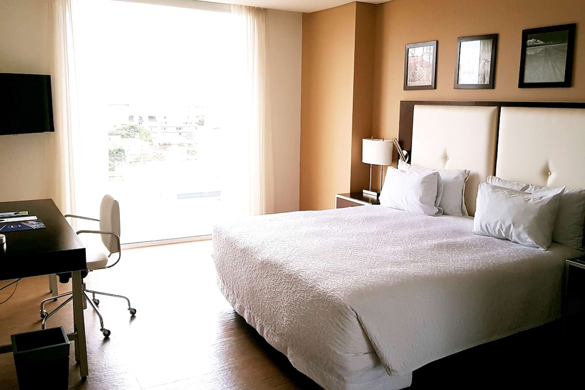Room, 1 King Bed
