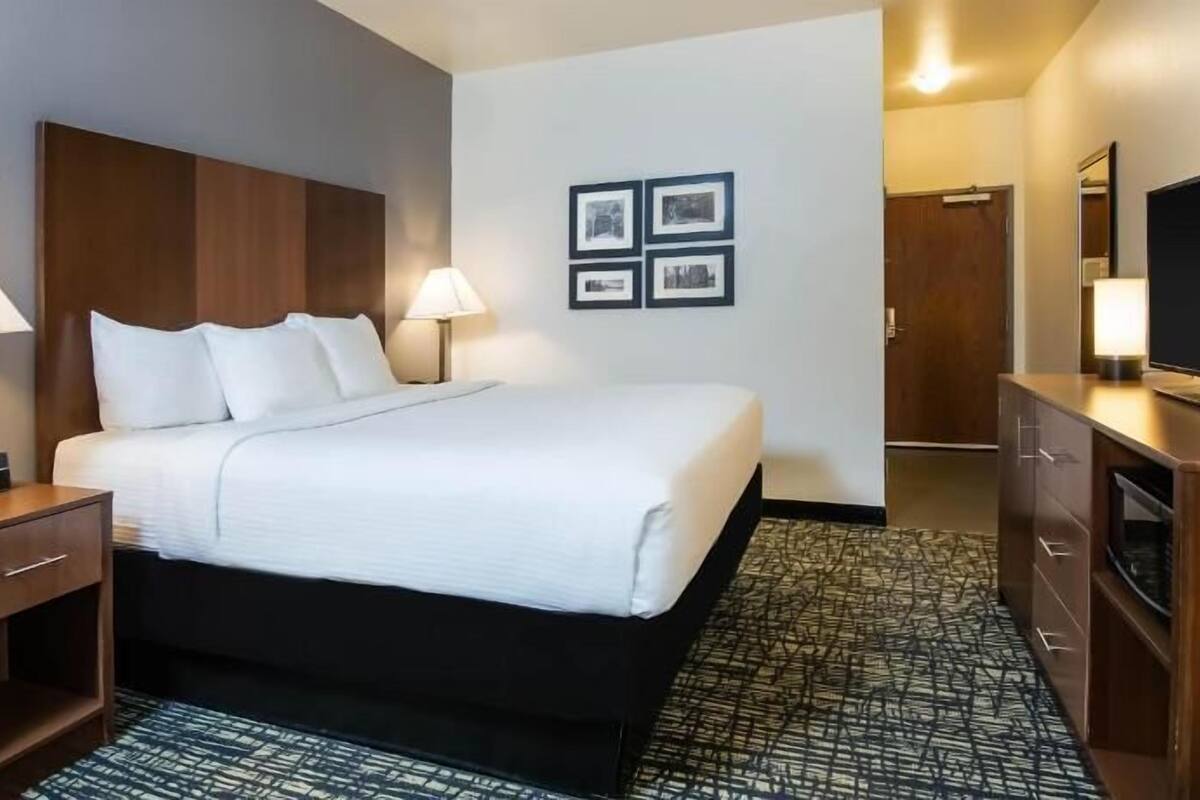 Ropa de cama de alta calidad, escritorio y cortinas blackout