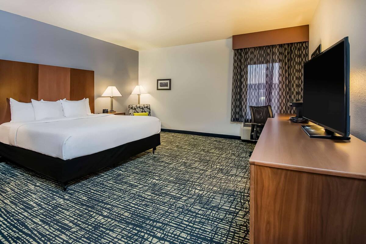A hotel room with a large bed, a desk with a flat-screen TV, a lamp, and a patterned carpet.